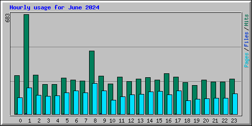 Hourly usage for June 2024