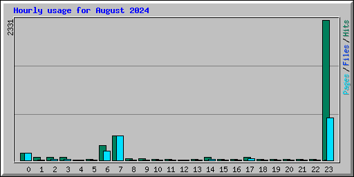 Hourly usage for August 2024