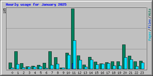 Hourly usage for January 2025