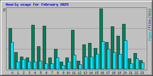 Hourly usage for February 2025