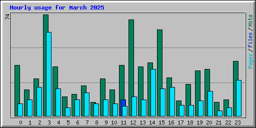 Hourly usage for March 2025
